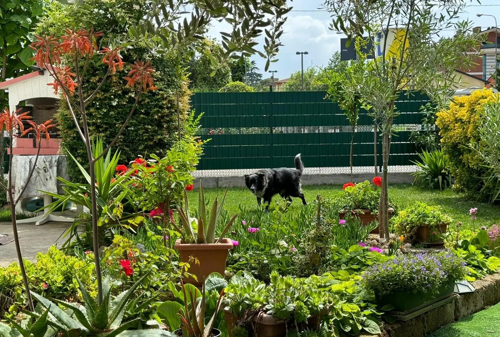 B&B Da Fiore Castel Bolognese Italy
